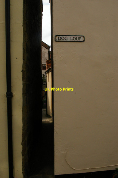 Photo 6"x4" Dog Loup: alleyway off Church Street, Staithes Staithes c2015