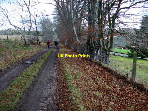 Photo 6"x4" Heading to Corrachie Avoch c2016