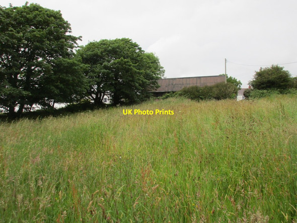 Photo 6"x4" The churchyard at Llandeloy Llandeloy c2015