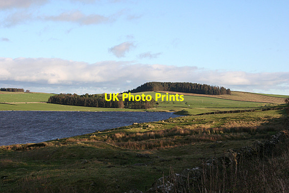 Photo 6"x4" Grindon Lough Chesterwood c2015