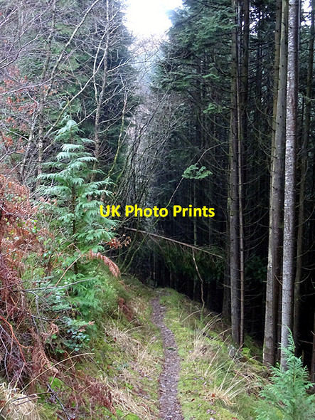 Photo 6"x4" Into the light Devil's Bridge\/Pontarfynach c2016