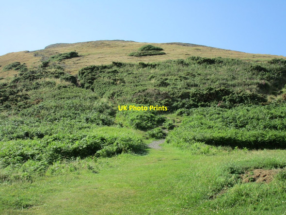 Photo 6"x4" Path up Foel-y-Mwnt Y Ferwig c2015