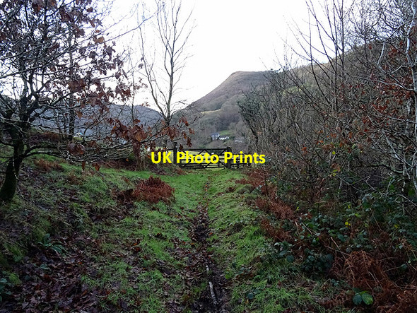 Photo 6"x4" Gate and stile in Cwm Rheidol Ystumtuen c2016