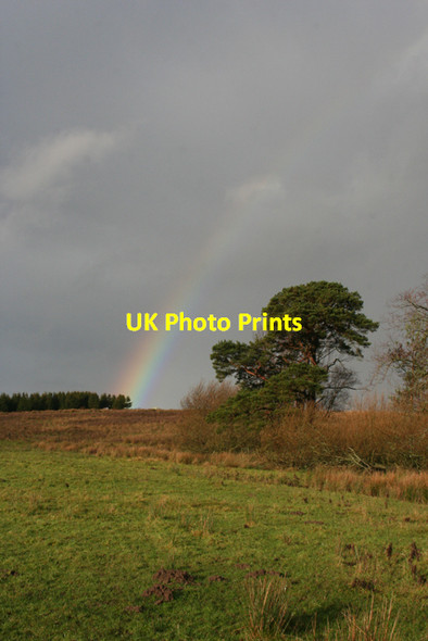 Photo 6"x4" Rainbow at Sheel Law Bellingham\/NY8383 c2016