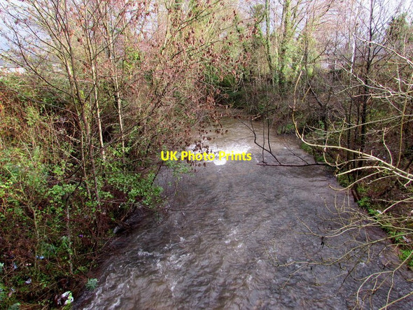 Photo 6"x4" Vigorous Malpas Brook, Bettws, Newport Newport\/Casnewydd c2016