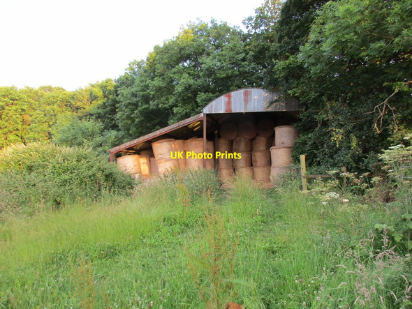 Photo 6"x4" Dutch barn with baled straw Cattistock c2015
