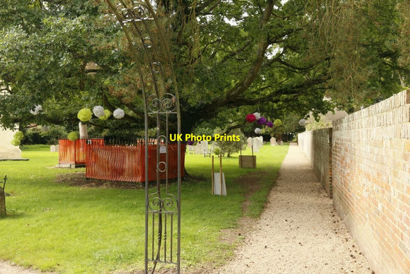 Photo 6"x4" Things in the Trees Hampstead Norreys c2015