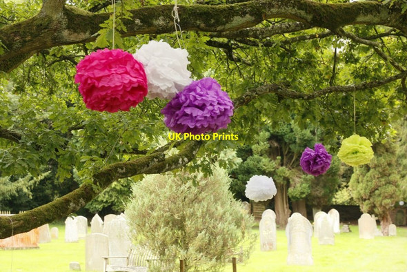 Photo 6"x4" Hanging in the Tree Hampstead Norreys c2015