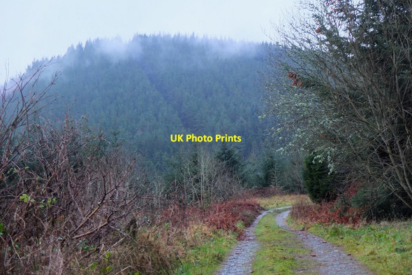 Photo 6"x4" Elibank Craig Holylee c2016