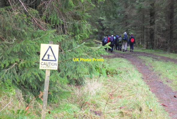 Photo 6"x4" An unusual warning, Elibank Forest Holylee c2016