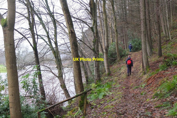 Photo 6"x4" Riverside path at Elibank Holylee c2016