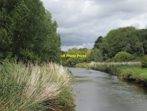 Photo 6"x4" Canoeing on the River Otter Budleigh Salterton c2015