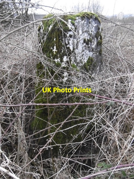 Photo 6"x4" Drumry Wood trig point Bearsden c2016