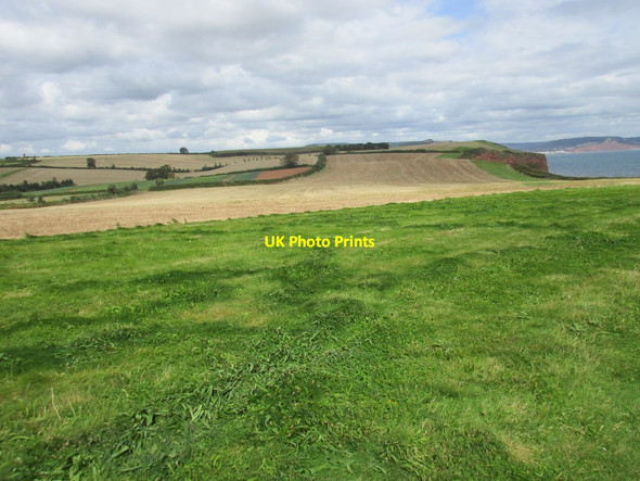 Photo 6"x4" View from Black Head towards Brandy Head Budleigh Salterton c2015