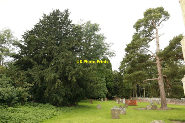 Photo 6"x4" View along the Churchyard Hampstead Norreys c2015