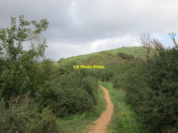 Photo 6"x4" South West Coastal Path above Sandy Cove North Star c2015