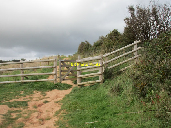 Photo 6"x4" Gate on the South West Coast Path North Star c2015