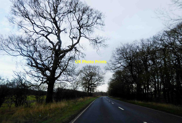 Photo 6"x4" A46 heading North from Lincoln Holton le Moor c2016