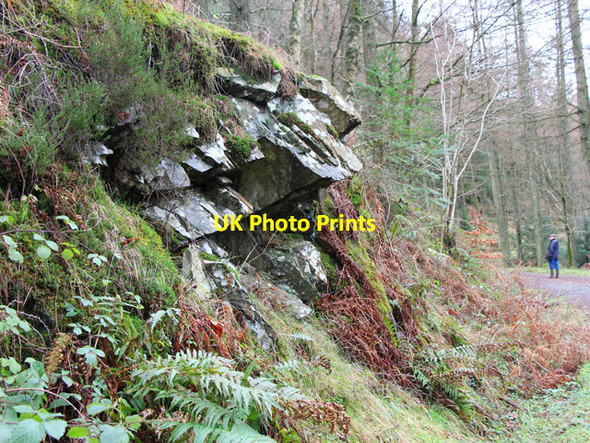 Photo 6"x4" Rocky outcrop, Grizedale Forest Grizedale c2016