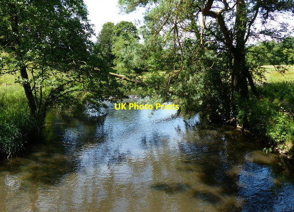 Photo 6"x4" River Dove in Beresford Dale Biggin\/SK1559 c2014