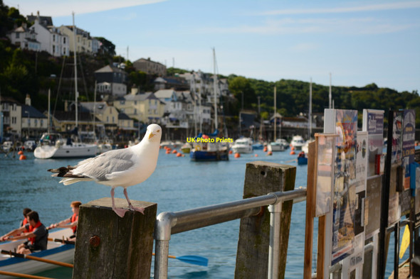 Photo 6"x4" Looe - by the fish-and-chip shop Looe c2015