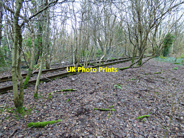 Photo 6"x4" Former James Watt Dock Railway Line Greenock\/NS2776 c2016