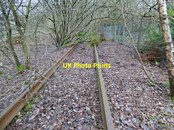 Photo 6"x4" Former James Watt Dock Railway Line Greenock\/NS2776 c2016