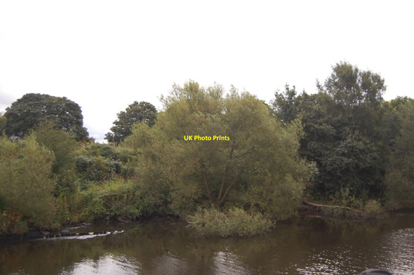 Photo 6"x4" Manchester Ship canal bank near Partington Partington c2012