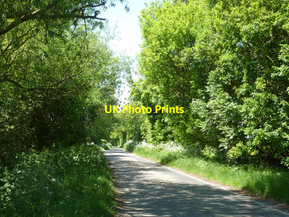 Photo 6"x4" Lane to High Laver and Harlow Little Laver c2013