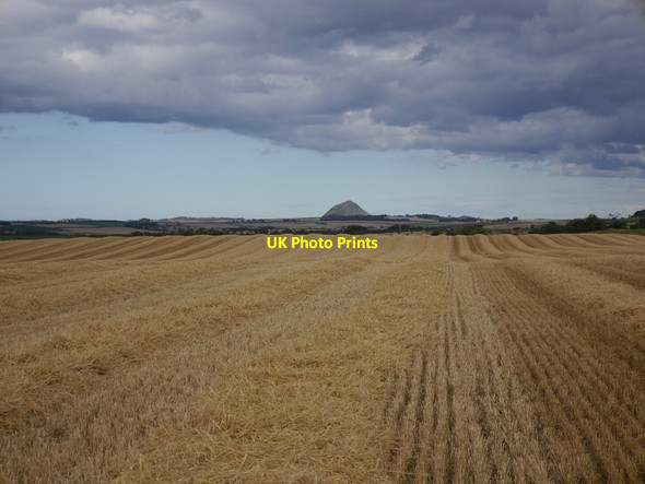 Photo 6"x4" Harvested barley, Garleton Ballencrieff c2015