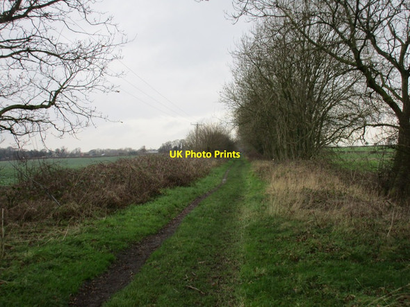 Photo 6"x4" The Hudson Way near Raventhorpe Cherry Burton c2016