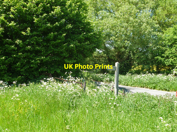 Photo 6"x4" Start of footpath 192_25 High Laver c2013