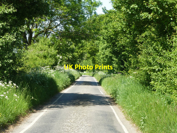 Photo 6"x4" Faggotters Lane High Laver c2013
