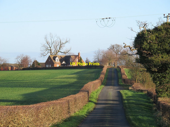 Photo 6"x4" The road to Fields Farm Sandbach c2015
