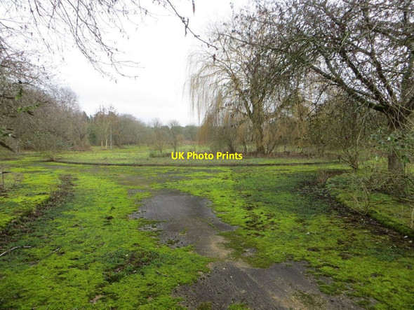 Photo 6"x4" Lost World Chilton\/SU4885 c2015
