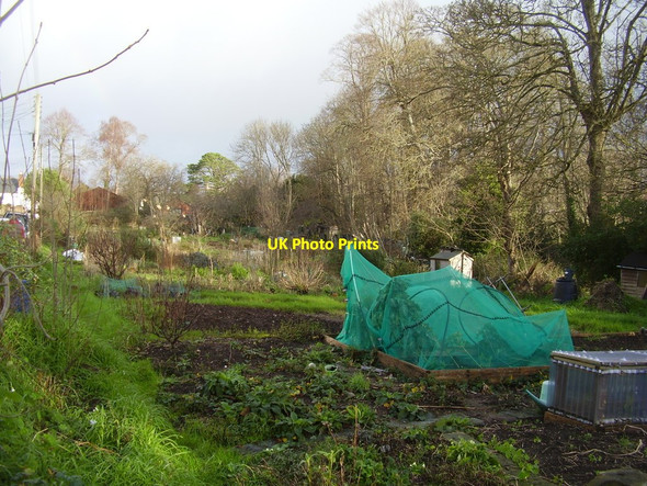 Photo 6"x4" Lawn Vista Allotments Sidmouth c2016