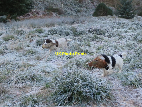 Photo 6"x4" After all these years......... Woodside\/NJ0555 c2016