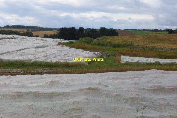 Photo 6"x4" Crop under netting, Farkhill Waterloo\/NO0536 c2015