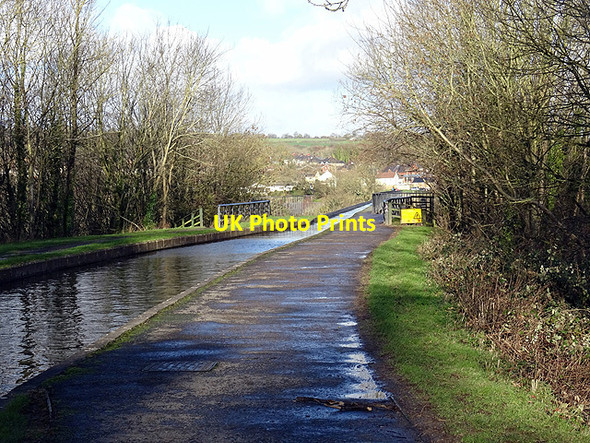 Photo 6"x4" On the tow-path of the Llangollen Canal Cefn-bychan\/SJ2741 c2016