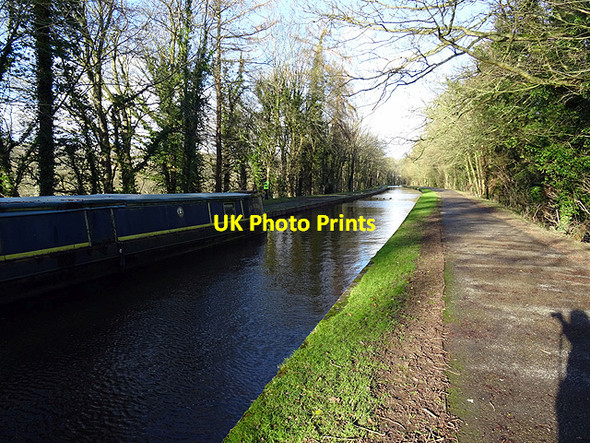 Photo 6"x4" Moored on the Llangollen Canal Cefn-bychan\/SJ2741 c2016