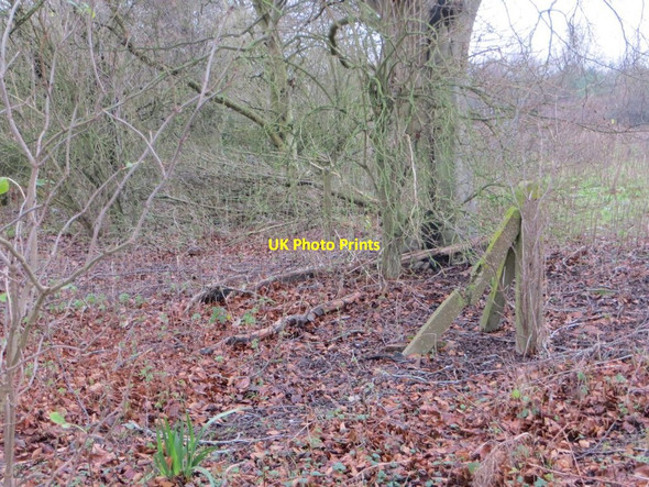 Photo 6"x4" End of the Estate Chilton\/SU4885 c2015