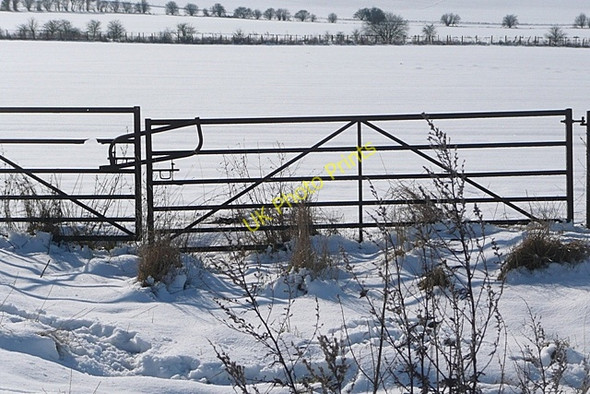Photo 6"x4" Blewbury Down Compton\/SU5280 c2009
