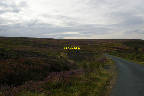 Photo 6"x4" New Way: lane at the head of Little Fryup Dale Street\/NZ7304 c2015