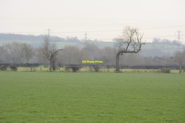 Photo 6"x4" Fields by Swarkestone Bridge, with a strange tree Barrow upon Trent c2016