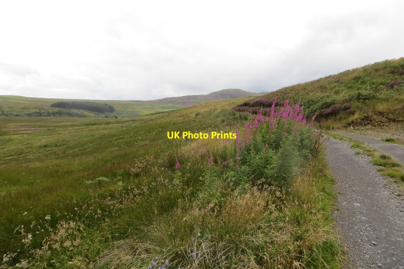 Photo 6"x4" Glack - Little Glenshee road Loch Tullybelton c2015