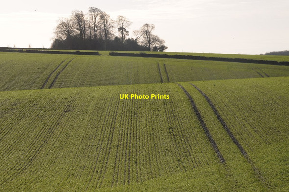 Photo 6"x4" Rolling arable land Ashley\/ST9394 c2016