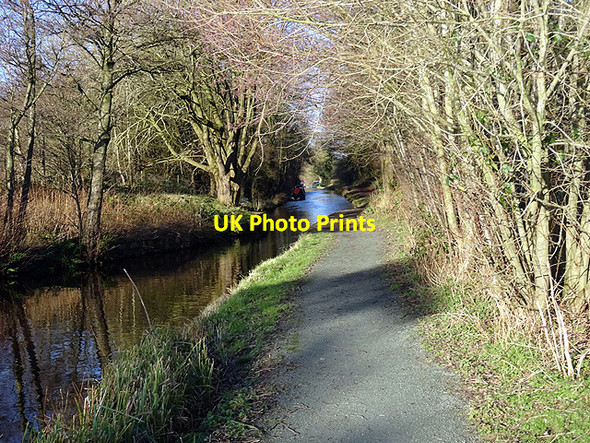 Photo 6"x4" Beside the Llangollen Canal Bryn-yr-Eos c2016