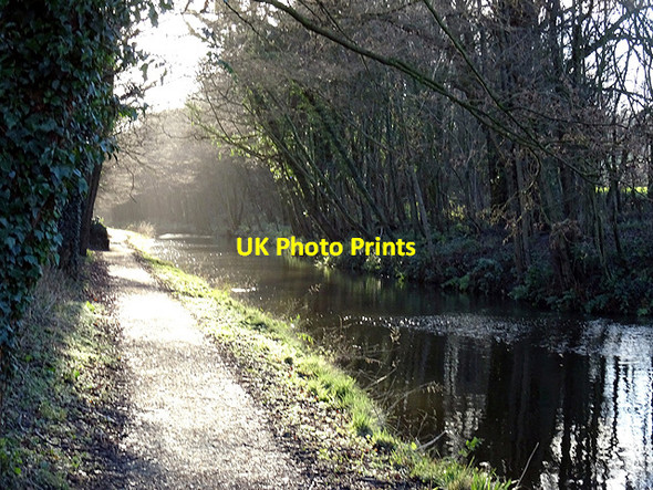 Photo 6"x4" On the tow path of the Llangollen Canal Chirk Green c2016
