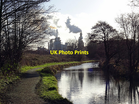 Photo 6"x4" On the tow path of the Llangollen Canal Bryn-yr-Eos c2016