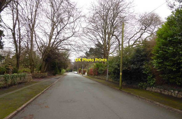 Photo 6"x4" Oak Drive Llandrillo-yn-Rh\u00f4s c2016